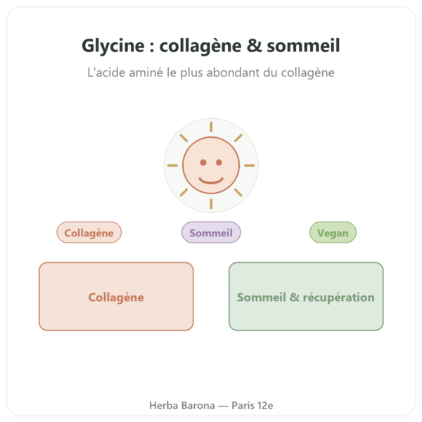 Glycine acide aminé en poudre pure 250 g – Dynveo presentation Paris Herba Barona