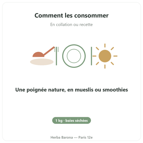Goji du tibet - 1 X 1 KG mode emploi conseil de prise Paris Herba Barona