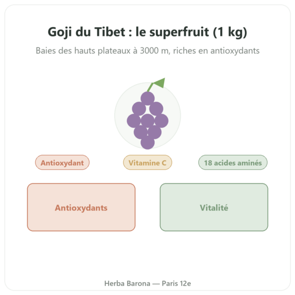 Goji du tibet - 1 X 1 KG presentation Paris Herba Barona