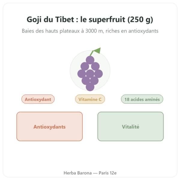 Goji du Tibet – 1 X 250 g presentation Paris Herba Barona
