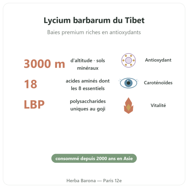 Goji du tibet – 1 X 500 g bienfaits et chiffres Paris Herba Barona