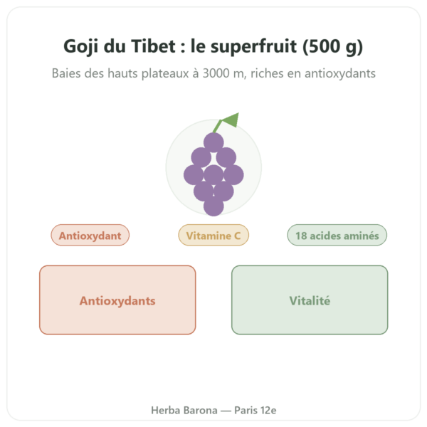 Goji du tibet – 1 X 500 g presentation Paris Herba Barona