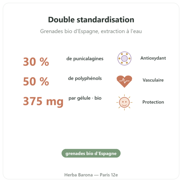Grenade Bio Dynveo – 375 mg – 60 gélules – 30 % Punicalagines – 50% Polyphénols bienfaits et chiffres Paris Herba Barona