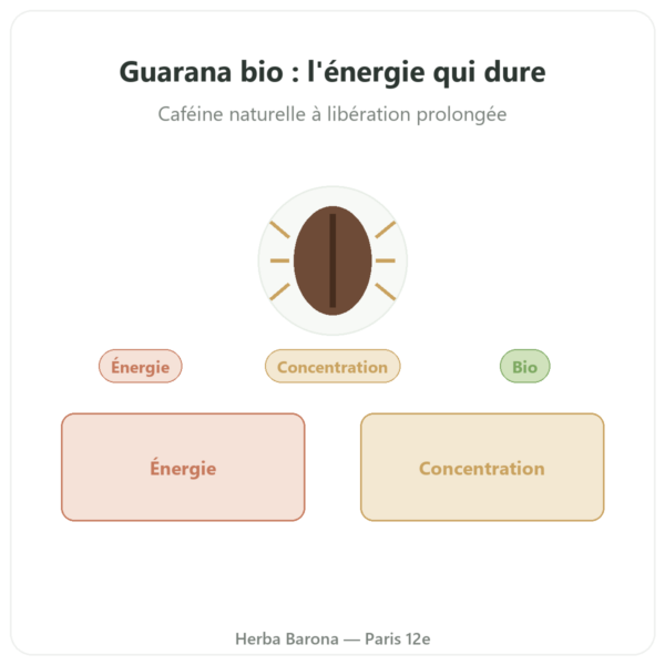 Guarana bio caféine – Dynveo – 60 gélules presentation Paris Herba Barona