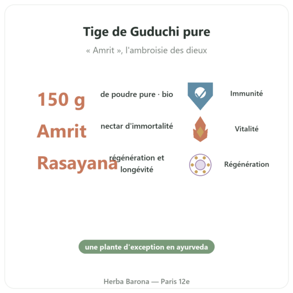 Guduchi bio - Sachet de poudre - 150 g - Ayur-vana bienfaits et chiffres Paris Herba Barona