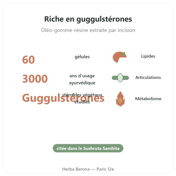 Guggul – Ayur-vana – 60 gélules bienfaits et chiffres Paris Herba Barona