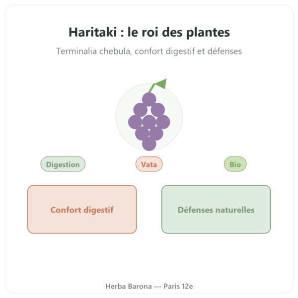 Haritaki bio - Sachet de poudre - 150 g - Ayur-vana presentation Paris Herba Barona