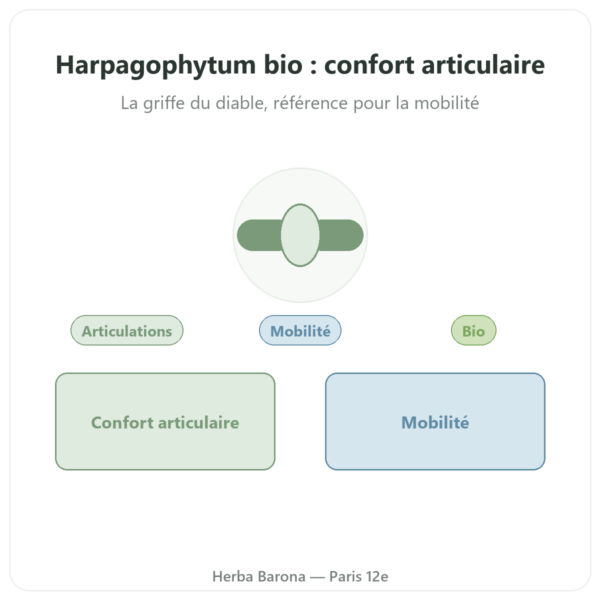 HARPAGOPHYTUM Bio – 60 gélules – DYNVEO ultra dosé presentation Paris Herba Barona