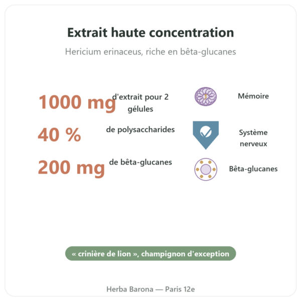 Hericium bio 500mg extrait haute concentration – 60 gélules bienfaits et chiffres Paris Herba Barona