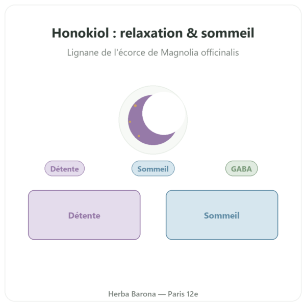 Honokiol Pur – 300mg – Magnolia Bark Extract – 60 gélules presentation Paris Herba Barona