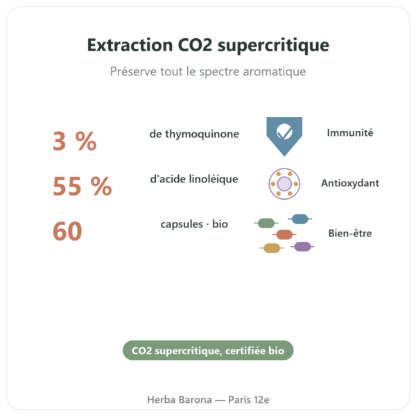 Huile de Nigelle (cumin noir) – Dynveo – 60 gélules bienfaits et chiffres Paris Herba Barona