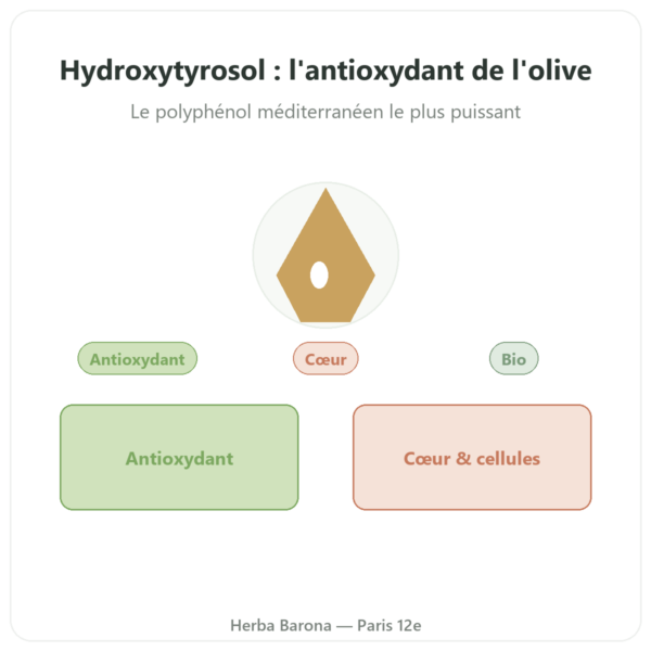 Hydroxytyrosol extrait d'olive BIO Dynveo 60 gélules presentation Paris Herba Barona