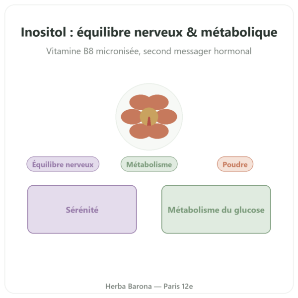 Inositol Pure Poudre Now Foods 113 g - Vitamine B8 micronisée presentation Paris Herba Barona