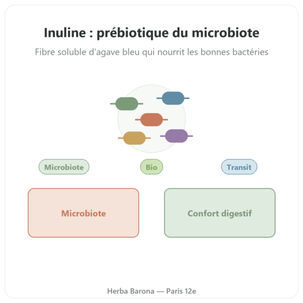 Inulin Pure Poudre bio Now Foods 227g - Prebiotique presentation Paris Herba Barona