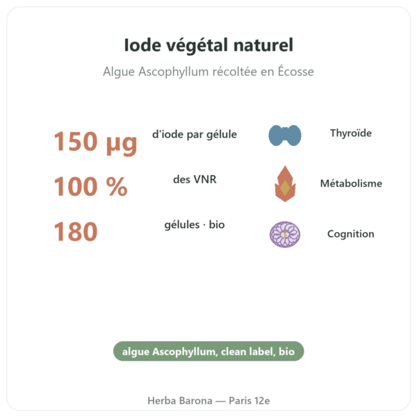 Iode d'algue Kelp bio Dynveo – 150µg – 180 gélules bienfaits et chiffres Paris Herba Barona