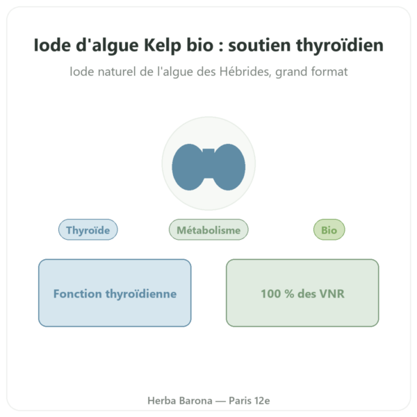 Iode d'algue Kelp bio Dynveo – 150µg – 180 gélules presentation Paris Herba Barona