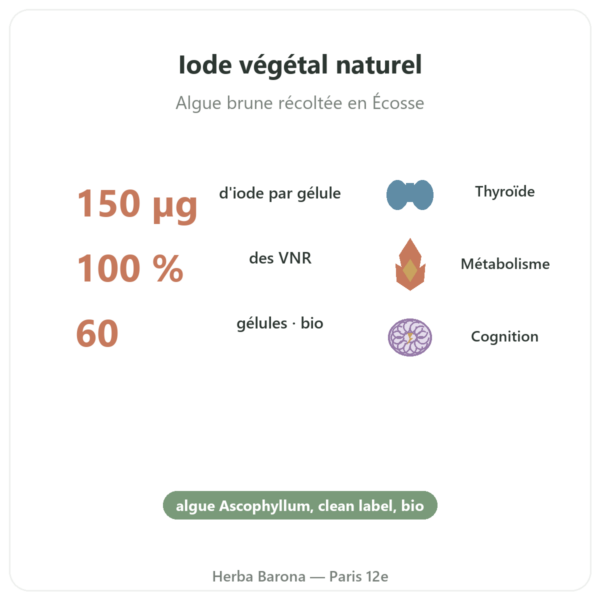 Iode d'algue Kelp bio Dynveo – 150µg – 60 gélules bienfaits et chiffres Paris Herba Barona