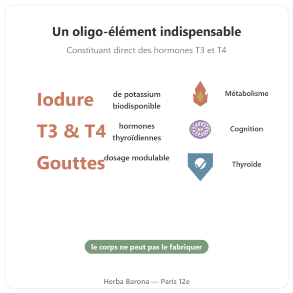 Iode Gouttes – Dr Jacob's bienfaits et chiffres Paris Herba Barona