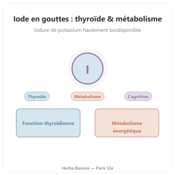 Iode Gouttes – Dr Jacob's presentation Paris Herba Barona