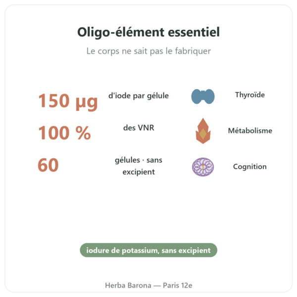 Iodure de potassium – Dynveo – 60 gélules bienfaits et chiffres Paris Herba Barona