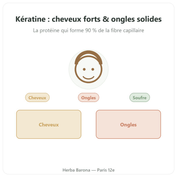Kératine Dynveo 60 gel presentation Paris Herba Barona