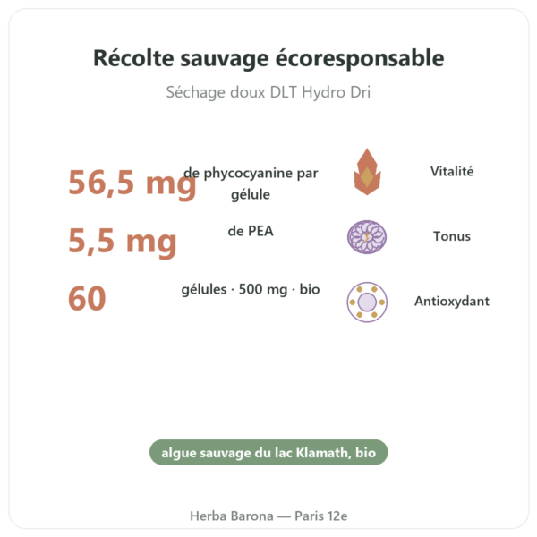 Klamath bio (AFA) – Dynveo – DLT Hydro Dri® – 500mg / 60 gélules bienfaits et chiffres Paris Herba Barona