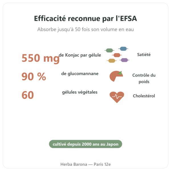Konjac bio 60 gélules - Vecteur Santé - Coupe-faim naturel glucomannane bienfaits et chiffres Paris Herba Barona