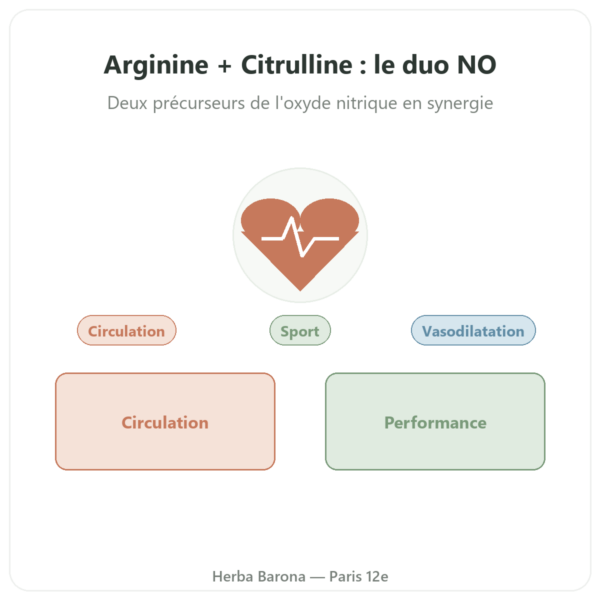 L-Arginine & L-Citrulline 500/250 mg – NOW Foods – 120 gélules végétales presentation Paris Herba Barona
