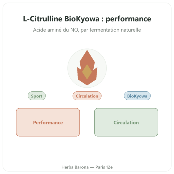 L-Citrulline poudre BioKyowa – Nutrimuscle – 500 g presentation Paris Herba Barona