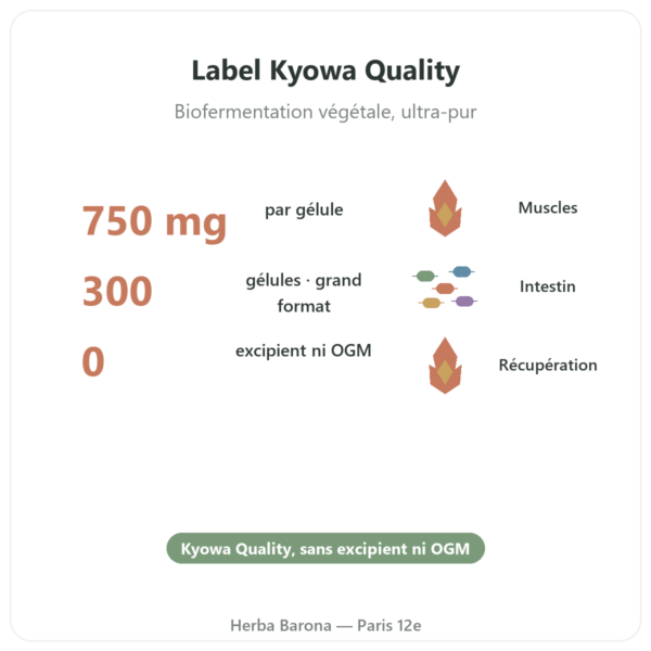 L-Glutamine 750 mg – 300 gélules – Dynveo – Kyowa Quality bienfaits et chiffres Paris Herba Barona