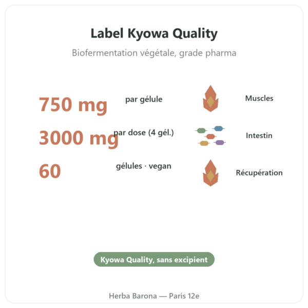 L-Glutamine 750 mg – 60 gélules – Dynveo – Kyowa Quality bienfaits et chiffres Paris Herba Barona
