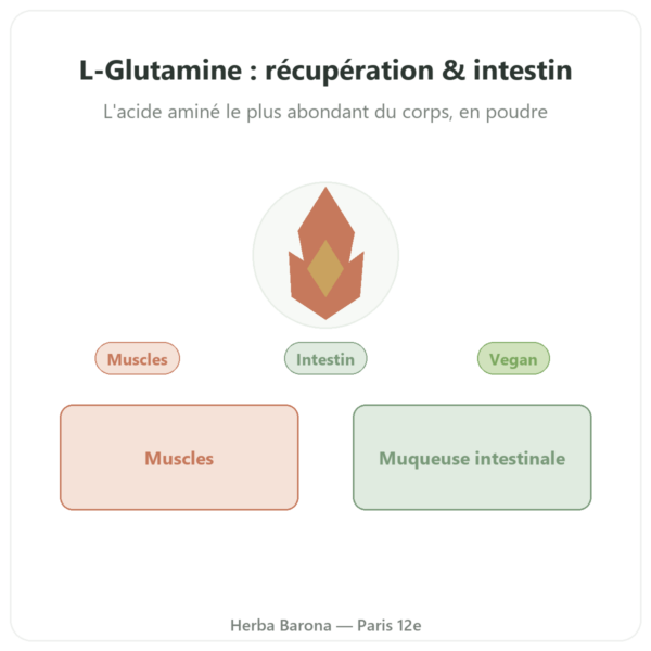 L-Glutamine poudre Dynveo Kyowa Quality 750g presentation Paris Herba Barona