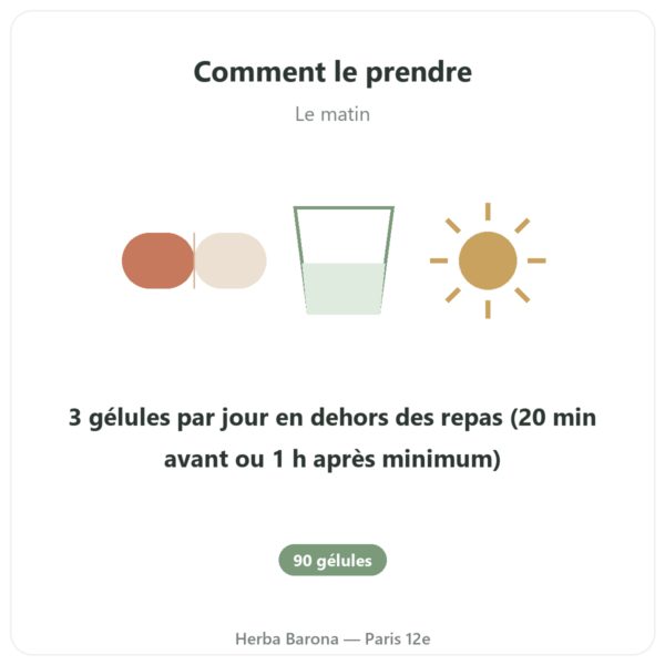 L-Lysine 600 mg – Dynveo – 90 gélules – Acide aminé essentiel mode emploi conseil de prise Paris Herba Barona