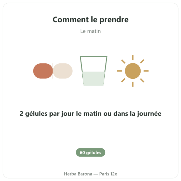 L-Théanine végétale – Dynveo -100 mg – 30% L-Théanine – 60 gélules mode emploi conseil de prise Paris Herba Barona