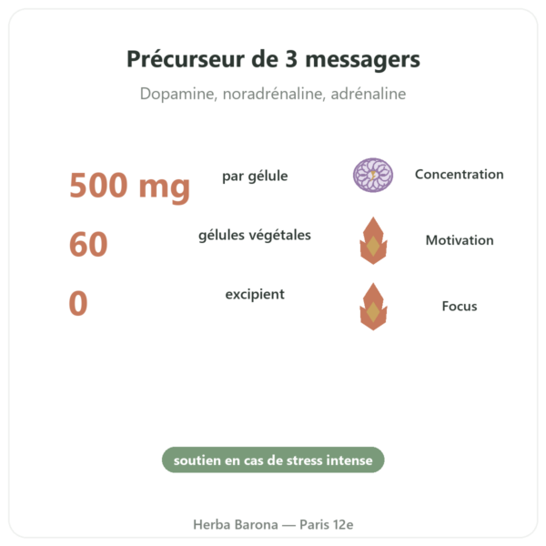 L-Tyrosine 500 mg – Dynveo – 60 gélules bienfaits et chiffres Paris Herba Barona