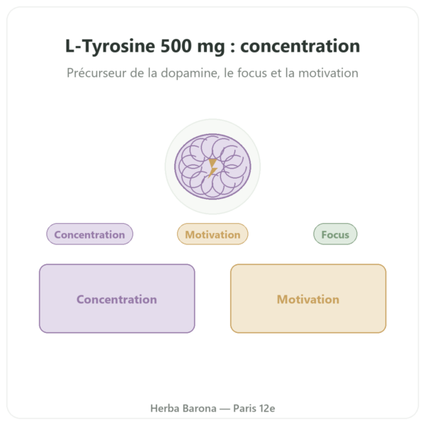 L-Tyrosine 500 mg – Dynveo – 60 gélules presentation Paris Herba Barona
