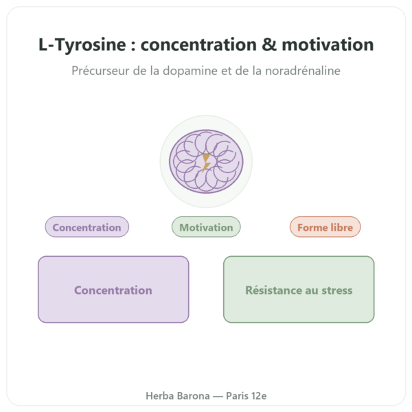 L-Tyrosine 500mg 120 gélules Doctor's Best - Acide amine presentation Paris Herba Barona