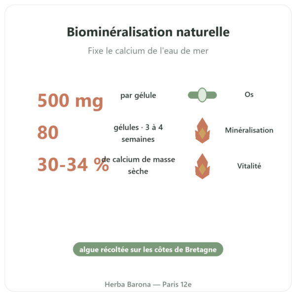 Lithothamne breton 500mg – 80 gélules – Vecteur Santé bienfaits et chiffres Paris Herba Barona
