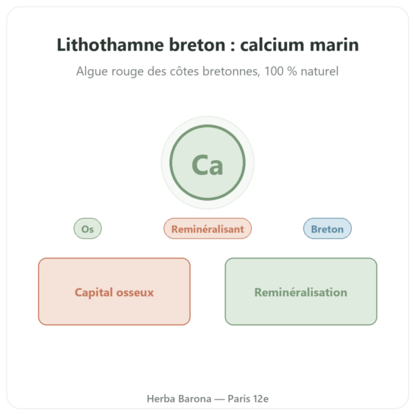 Lithothamne breton 500mg – 80 gélules – Vecteur Santé presentation Paris Herba Barona