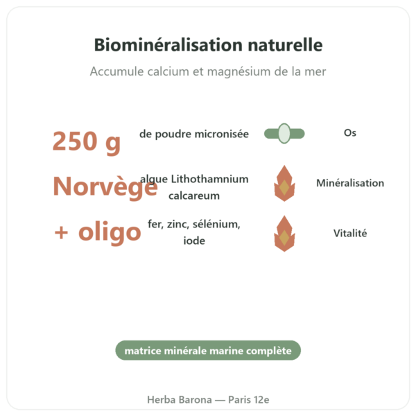 Lithothamne poudre 250 g - Vecteur Santé bienfaits et chiffres Paris Herba Barona