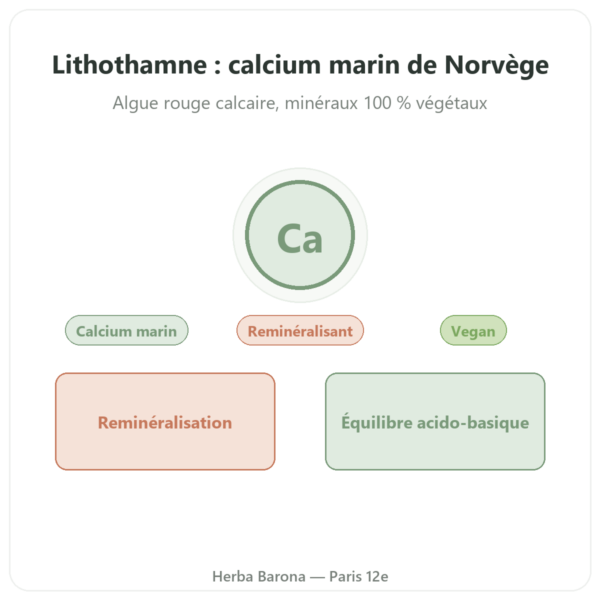 Lithothamne poudre 250 g - Vecteur Santé presentation Paris Herba Barona