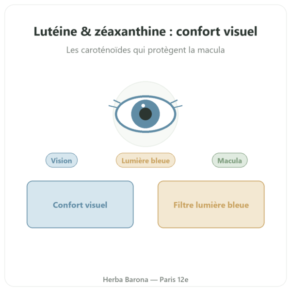Lutéine 10mg Zéaxanthine 2mg – Dynveo – 60 Gél. presentation Paris Herba Barona