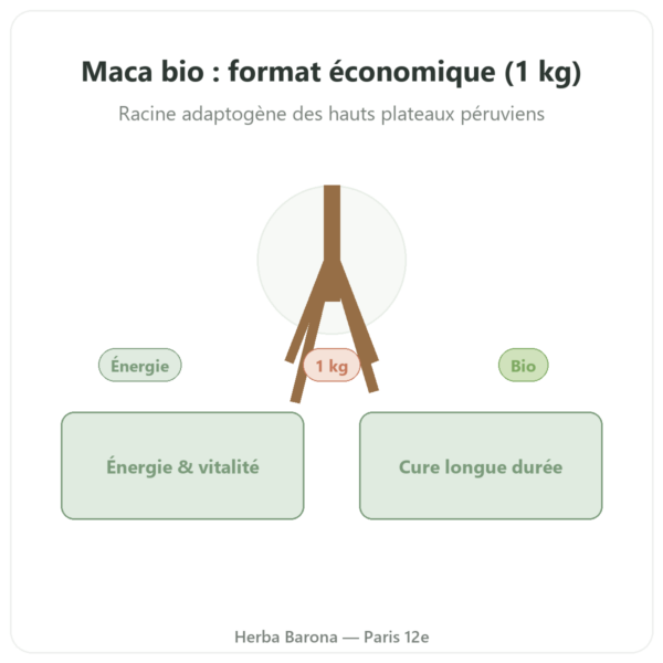 Maca Bio poudre Pederoso – Saldac – 1 kg presentation Paris Herba Barona