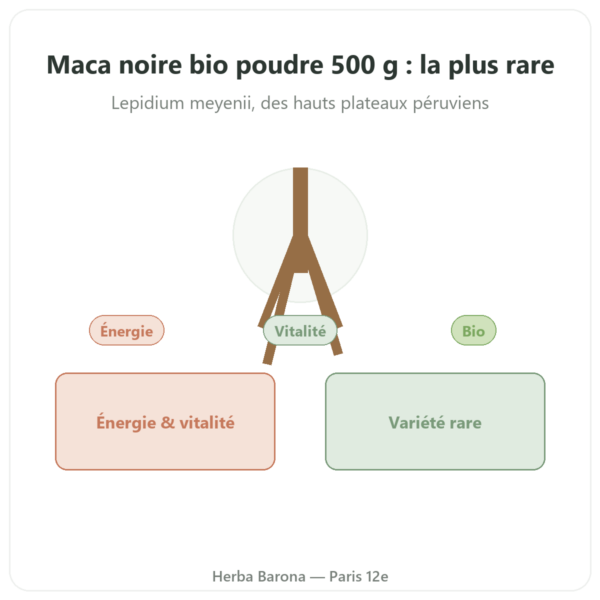 Maca Noire Bio en Poudre – Energy Feelings – 500 g presentation Paris Herba Barona