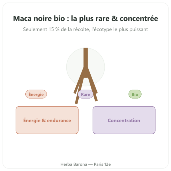 Maca Noire Bio poudre Pederoso – Saldac – 250 g presentation Paris Herba Barona