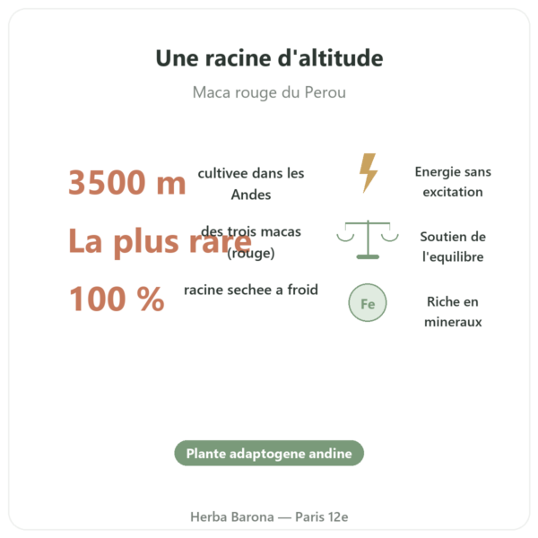 Maca Rouge Vegetopie bienfaits chiffres Paris Herba Barona