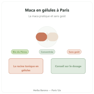 Maca en gélule