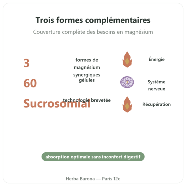 Magnacell – SIHO – Complexe 3 Magnésiums – 60 gélules bienfaits et chiffres Paris Herba Barona