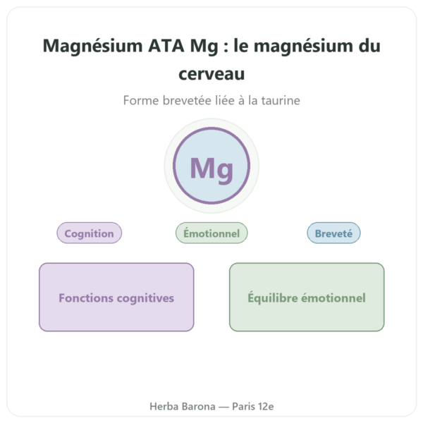 Magnésium Acétyl Taurinate ATA Mg – 60 Gélules – Dynveo presentation Paris Herba Barona