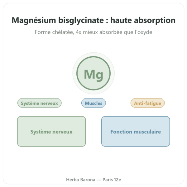 Magnesium bisglycinate – Dynveo – 60 gélules presentation Paris Herba Barona